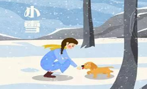 安氏亞森板材：小雪丨花開天下暖，葉落天下寒